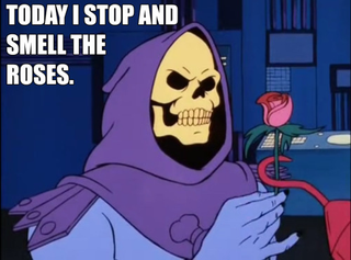 http://skeletorislove.tumblr.com/